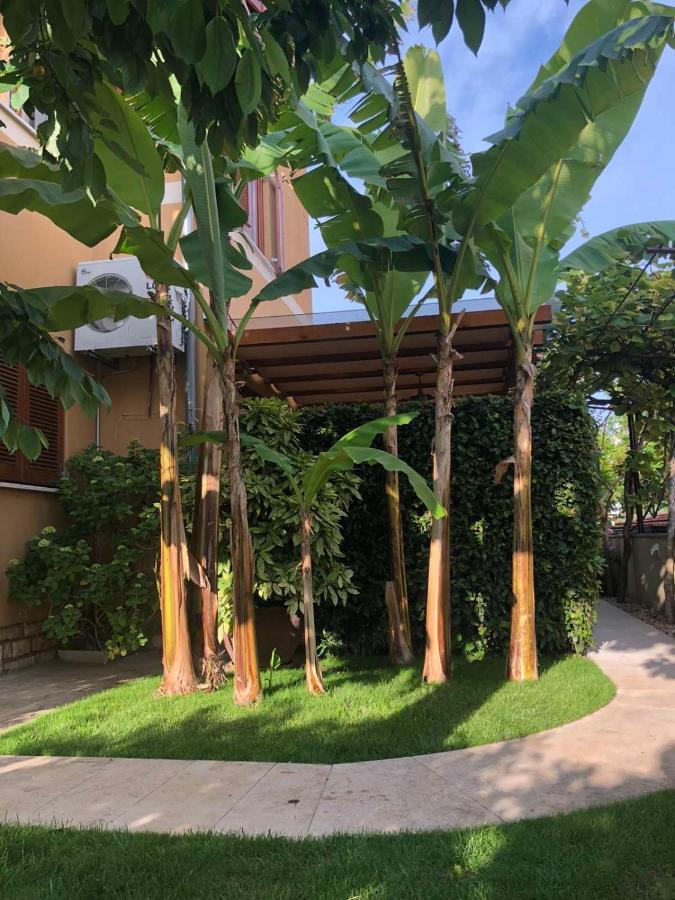 Villa Dolores روفينج المظهر الخارجي الصورة