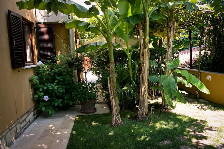 Villa Dolores روفينج المظهر الخارجي الصورة